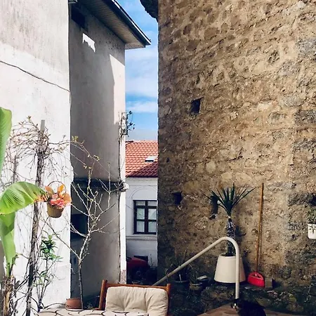 Kosta Center Port Ohrid