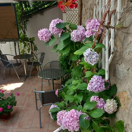 Guest house Kosta Center Port 3*