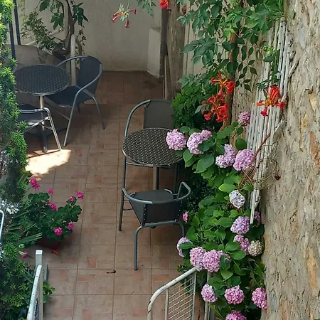 Guest house Kosta Center Port 3*