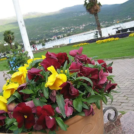 Kosta Center Port Ohri