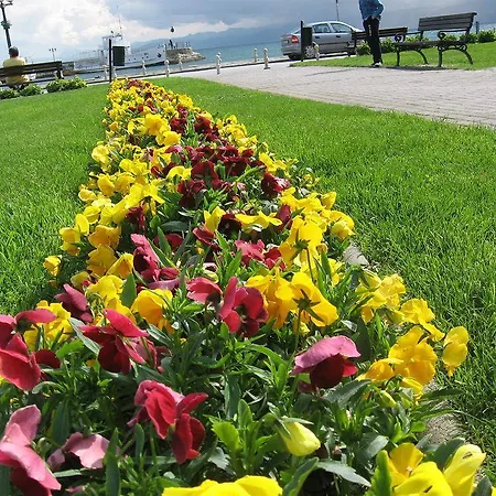 Kosta Center Port 3* Ohrid