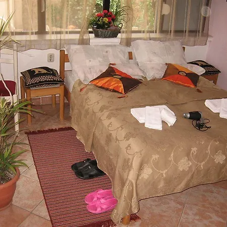 Kosta Center Port Ohrid